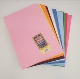 FOAMIES COLOR ASSORTED 24 CT