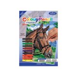 COLOUR BY NUMBERS HORSE MINI