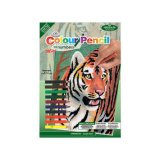 COLOUR BY NUMBER TIGER JUNGLE MINI