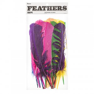 FEATHER QUILLS LARGE ASST.