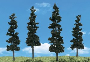 CONIFER TREES