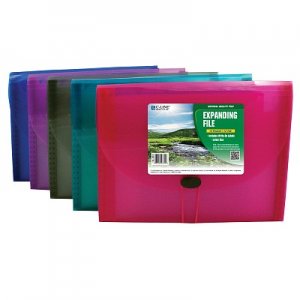 BIO 13 POCKET EXPANDING FILE LT
