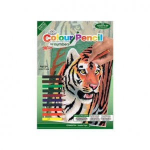 COLOUR BY NUMBER TIGER JUNGLE MINI