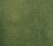 GREEN GRASS PROJECT SHEET