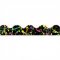 ROCK CLASSROOM SPLATTER DECOTRIM