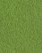 GREEN GRASS FINE TURF